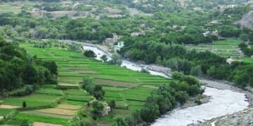 آزادلیک جبهه‌سی: پنجشیرده طالبان والیسی دفتریده هجوم قیلیب 4 طالب نی اۉلدیردیک