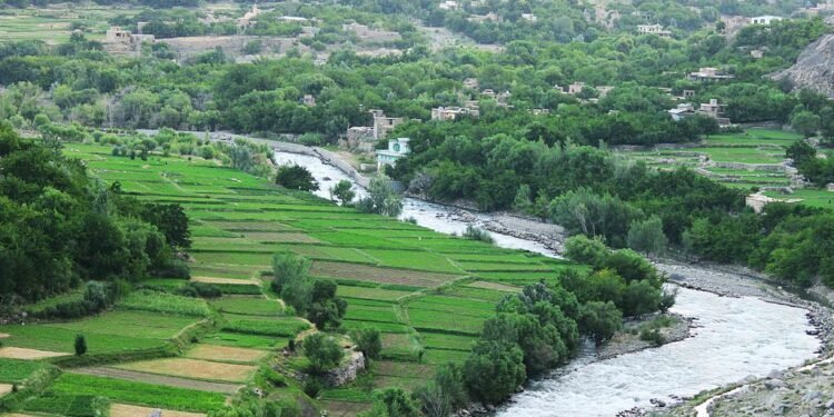 آزادلیک جبهه‌سی: پنجشیرده طالبان والیسی دفتریده هجوم قیلیب 4 طالب نی اۉلدیردیک