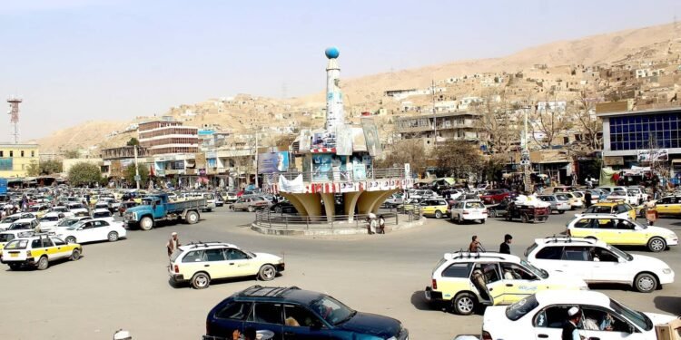 آزادلیک جبهه‌سی: پلخمری شهریده بېش طالب نی اۉلدیریب و یره‌دار قیلدیک