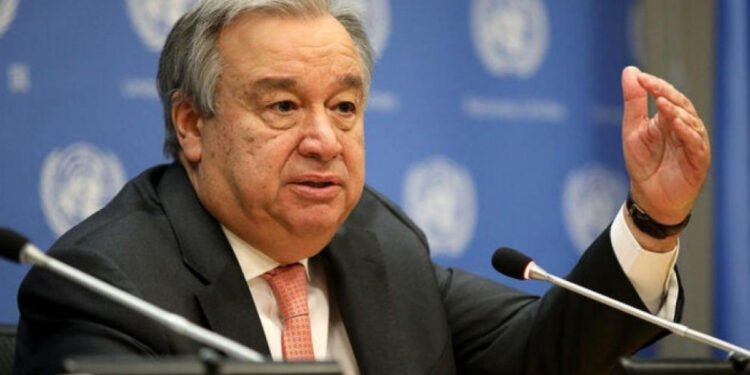 بیرلشگن ملتلر تشکیلاتی فلسطین نامیده مستقل بیر دولت قۉریلیشیگه تاکید قیلدی