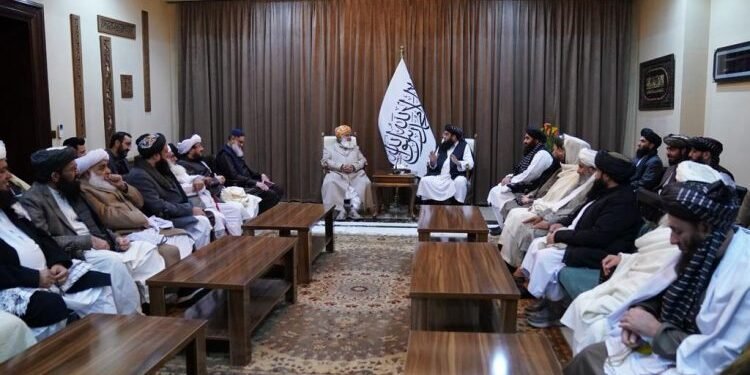 یعقوب مجاهد مولانا فضل‌الرحمان‌گه خطاب: سیز بیلن بیزنینگ آره‌میزده هیچ قنده‌ی فرق یۉق