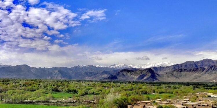 کاپیساده بیر شخص آته‌سینی آتیب اۉلدیرگن