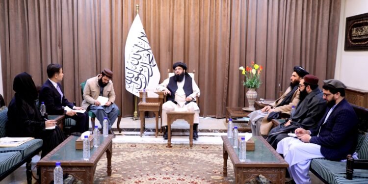 طالبان: دنیا مملکت‌لری نینگ افغانستان‌دن بۉلگن خواطرلری سۉزلشوو آرقه‌لی حل اېتیلسین