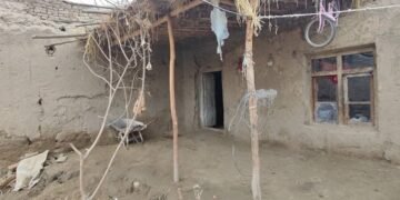 تخارده بیر کیشی تۉرت ییل‌دن کیین اویده‌گی قماقدن آزاد اېتیلگن