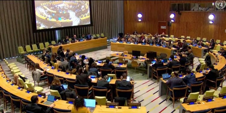 انسان حق‌لری فعال‌لری بیرلشمه‌سی: بیرلشکن ملت‌لر تشکیلاتی مخصوص وکیلی نینگ کیم‌لیگی مهم دیر