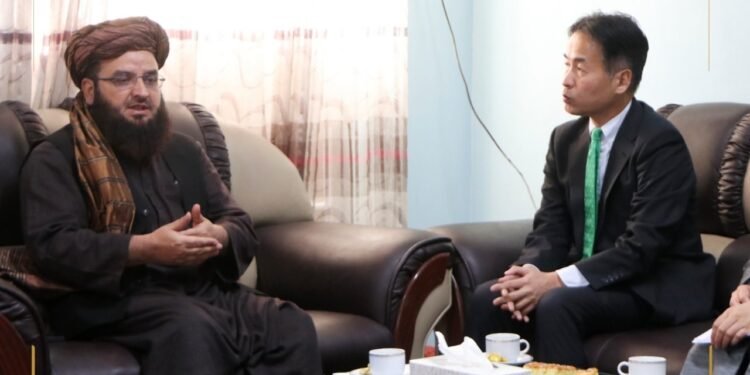 افغانستان نینگ تاریخی آبده‌لری سقلَنیشی اوچون جاپان یاردم بېره‌دی