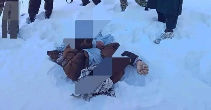 غزنی‌ده بیر کیشی هوا ساووق‌لیگی طفیلی جان بېرگن