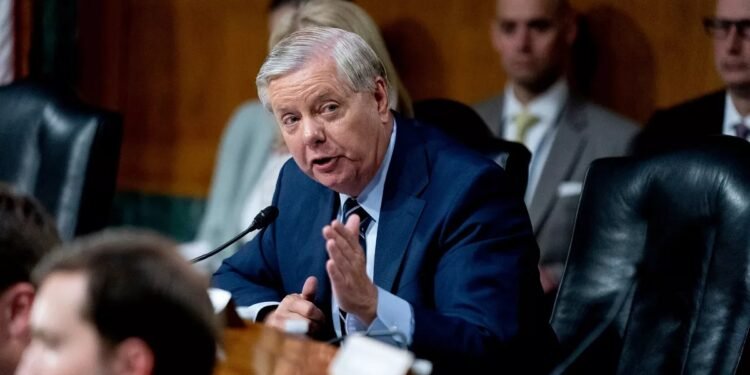 لینزی گراهام: افغانستان‌ده داعش‌گه قرشی تیزلیکده عملیات بجریلسین