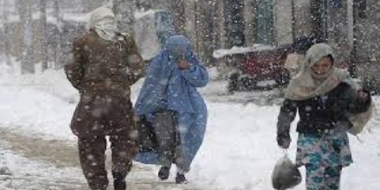 طالبان: حوت آیی جریانیدهگی یاغینگرچیلیکلرگه ۶۰ کیشی جان بېرگن