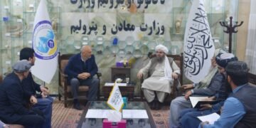 ترکیه‌لیک بیر کمپنیه یتیم‌تاغ سمنت لایحه‌سیگه سرمایه یاتقیزیش اوچون تیارگرلیک کورسه‌تگن