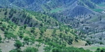 افغانستان‌ده سونگی اۉن‌بیش ییل ایچیده ۳۴ فایز اۉرمان‌لر بین‌دن کېتگن