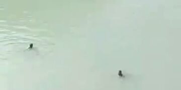 ایران‌ده افغانستان‌لیک بیر ییگیت سووگه چوکیب جان بېرگن