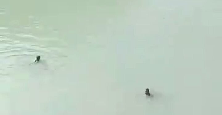 ایران‌ده افغانستان‌لیک بیر ییگیت سووگه چوکیب جان بېرگن