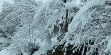 افغانستان‌نینگ ایریم ولایت‌لریده قار یاغگن