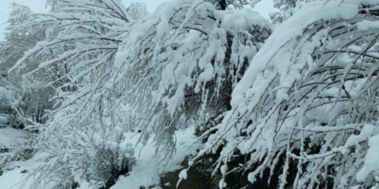 افغانستان‌نینگ ایریم ولایت‌لریده قار یاغگن