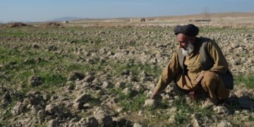 بیرلشکن ملتلر تشکیلاتی افغانستان‌ده‌گی  آچ‌لیک وضعیت‌دن خواطر بیلدیردی