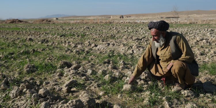 بیرلشکن ملتلر تشکیلاتی افغانستاندهگی آچلیک وضعیتدن خواطر بیلدیردی