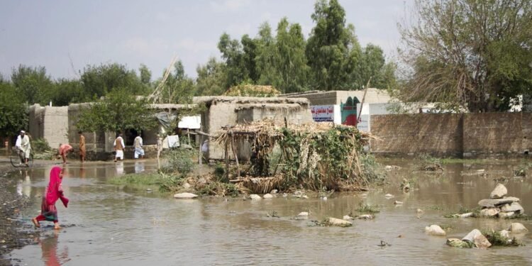 اوچا: سوو تاشقینی صادر بۉلگن ولایتلرده انسانی وضعیت آغیر دیر