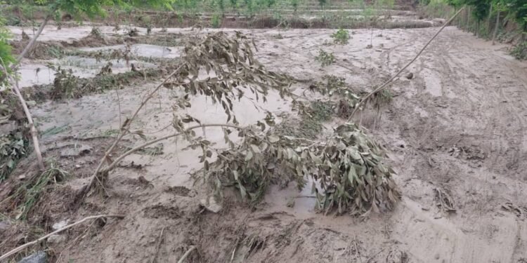 افغانستان‌نینگ ۱۰ ولایتیده سوو تاشقینی صادر بۉلیشی کوزه‌تیله‌دی