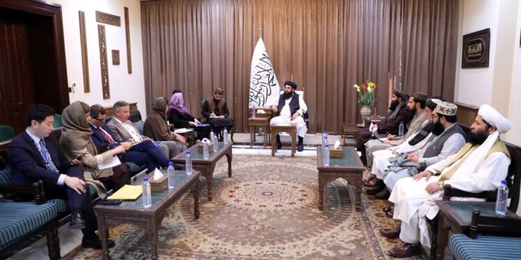 بیرلشکن ملتلر تشکیلاتی طالبان‌نی دوحه ییغین‌گه چقیردی