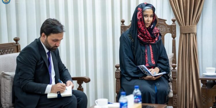 طالبان: اروپا اتفاقنینگ ایلچیسی افغانستانده تینچلیک دوامینی خواهلهدی