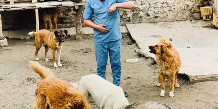 افغانستان‌دن ۳۰۰ کوچوک/ایت امریکاده انتقال بیریله‌دی