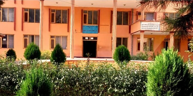 بدخشان‌ده طالبان تامانیدن ایکی کیشی دُره‌لندی