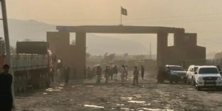 پاکستان و طالبان چیگره کوچلری آره‌سیده آتیش-کېسین تامین‌لنگن