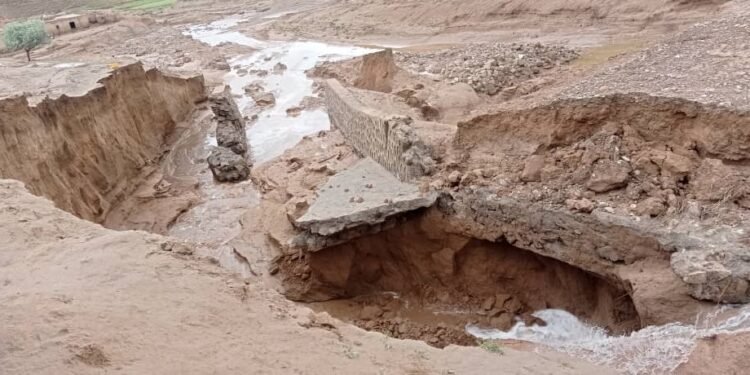 طالبان: اخیرگی سوو تاشقینلری عاقبتیده ۵۶۰ کیشی اۉلیب و یره‌لنگن