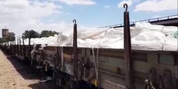 افغانستان سوداگرلیک محصولاتلری ایلک‌بار ایران آرقه‌لی ترکیه تامان یوباریلدی