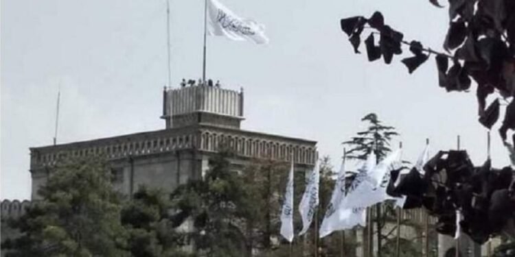 طالبان جوبایدن نینگ اخیرگی سۉزلریگه مناسبت بیلدیردی