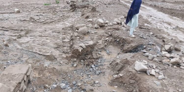 افغانستان‌ده ۱۰ مینگ هکتار ایکینچیلیک ییرلری سوو تاشقینی باعث تخریب اېتیلگن