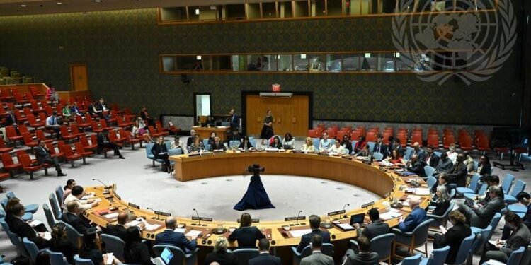 بیرلشکن ملتلر تشکیلاتیده افغانستانگه عاید مسالهلر ینه تیکشیریلدی