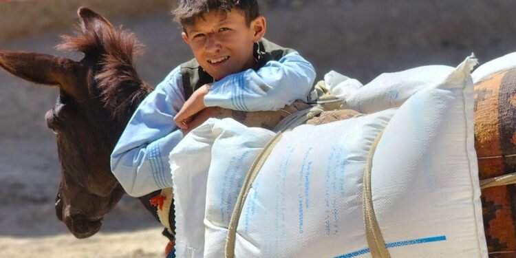 آزیق-آوقت دستوری: افغانستان‌ده‌گی یاردملرنی دوامی اوچون ۶۵۰ میلیون دالر کېره‌ک