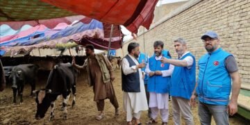 ترکیه افغانستان‌ده ۱۳ مینگ‌دن کۉپراق قربان‌لیک گوشتی حصه‌سینی ترقه‌تَدی