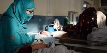 ساغلیقنی سقلش تشکیلاتی: افغانستان‌ده کونده ۲۴ آنه و ۱۶۷ باله جان بېره‌دی