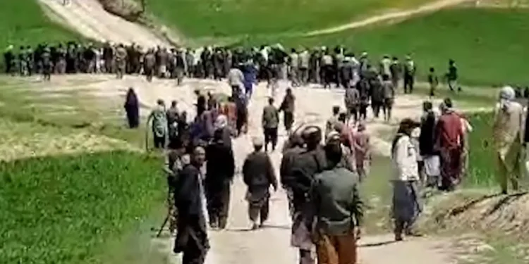 یوناما: بدخشاندهگی ناراضلیکلرده ۱۷ کیشی طالبان تامانیدن اۉلیب و یرهلنتیریلگن