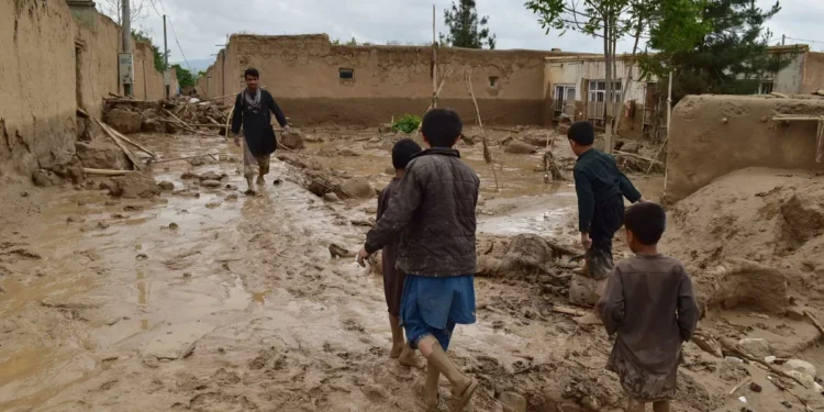 افغانستان بیر نیچه ولایتیده سوو تاشقینلری صادر بۉلگن