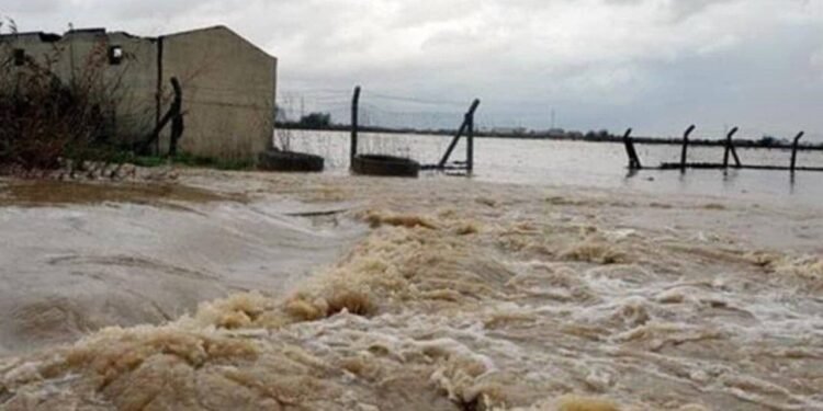 بدخشان‌ده سوو تاشقینی؛ یوزلرچه باش چاروه تلف بۉلگن