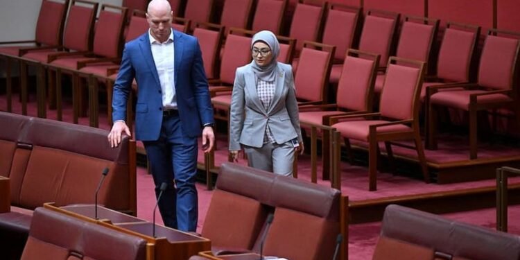 فلسطینلیکلردن آرقهداشلیک؛ فاطمه پیمان استرالیا ایشچیلر حزبیدن استعفا بېردی