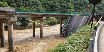 چین‌ده کۉپریک قوله‌شی کۉپلب قربان‌لیکلرگه باعث بۉلگن