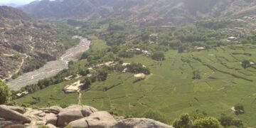 کاپیساده ترافیکی حادثه؛ ۸ کیشی اۉلیب و یره‌لنگن