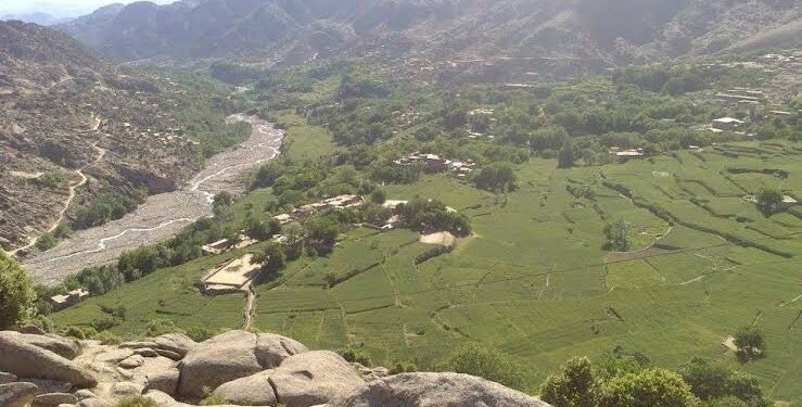 کاپیساده ترافیکی حادثه؛ ۸ کیشی اۉلیب و یره‌لنگن