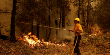 امریکاده یانغین؛ کمیده ۳۵۰ هکتار ییر یانیب کېتگن