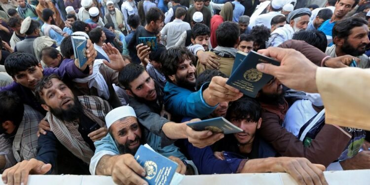 طالبان تامانیدن پاسپورت ترقه‌تیش اوچون ینگی مرکزلر آچیلگن