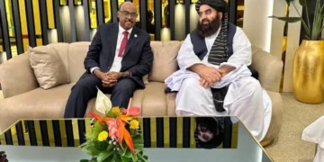 اسلامی همکارلیکلر تشکیلاتی طالبان‌دن عیاللر ایشلشی و اوقیشی برابریده بۉلگن چیکلاولر بیکار قیلینیشینی سۉره‌دی