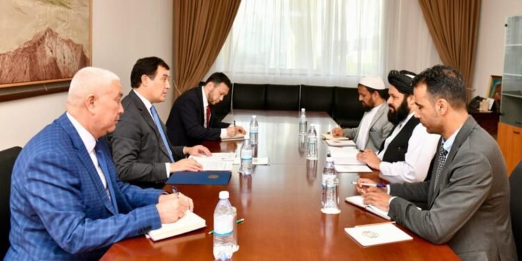 طالبان ایلچیسی قزاقستان تامانیدن قبول قیلینگن