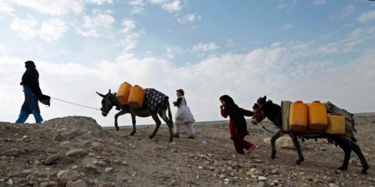 افغانستانلیک عایلهلر جملهسیدن ۶۷ فایزی ییترلیچه سووگه قۉل تاپالمهیدی