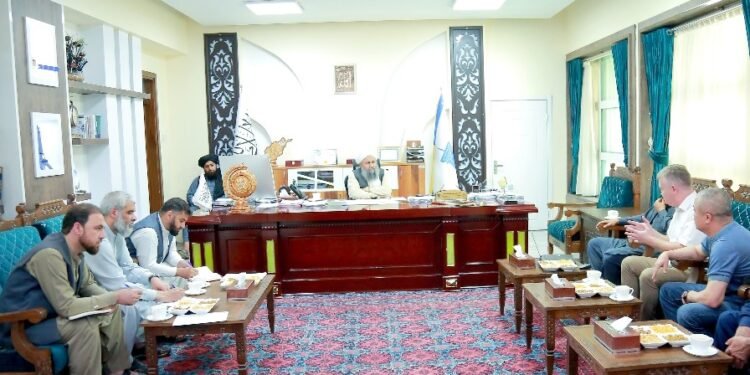 اۉزبېکستان‌لیک تدبیرکارلر افغانستان مخابرات بولیمیده سرمایه یاتقیزیش‌گه تیارگرلیک کۉرسه‌تگن