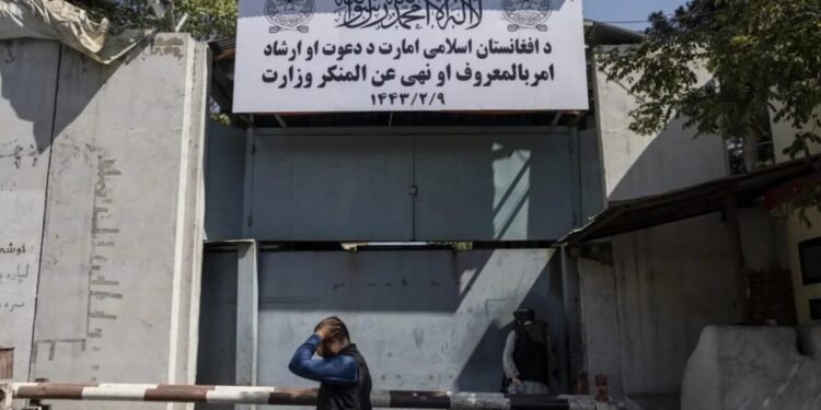 طالبان قانونی برابریده تنقیدلر دوامی؛ کیچیریم تشکیلاتی: بو قانون انسان حقلریگه هجوم دیر